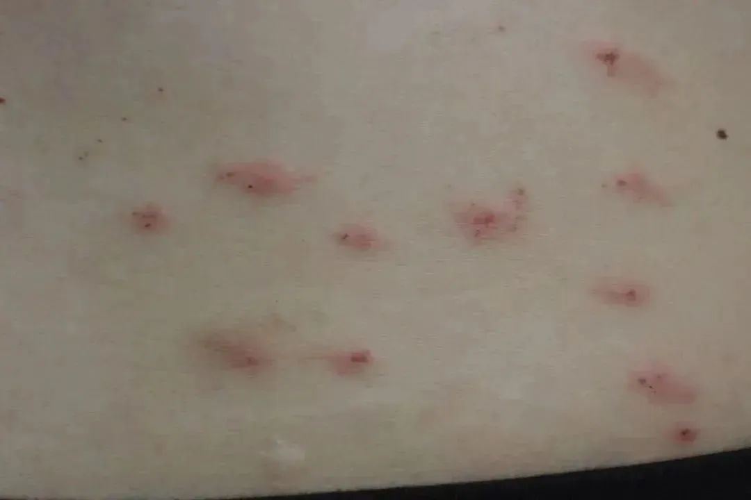 DƬ
